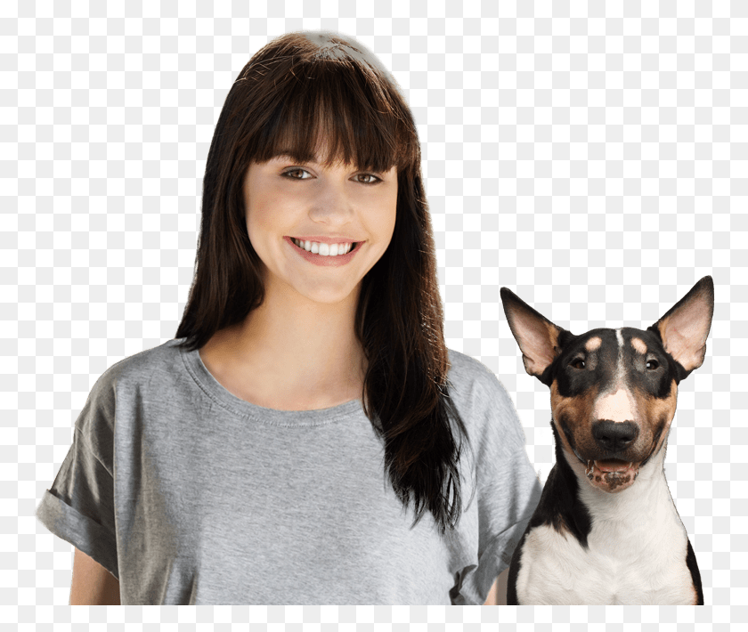 767x650 Dog Boarders In Balcones Heights Bull Terrier Front View, Person, Human, Pet HD PNG Download