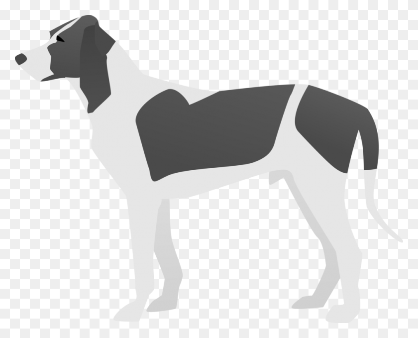 945x750 Dog Breed Italian Greyhound American Pit Bull Terrier English Foxhound, Animal, Mammal, Pet HD PNG Download