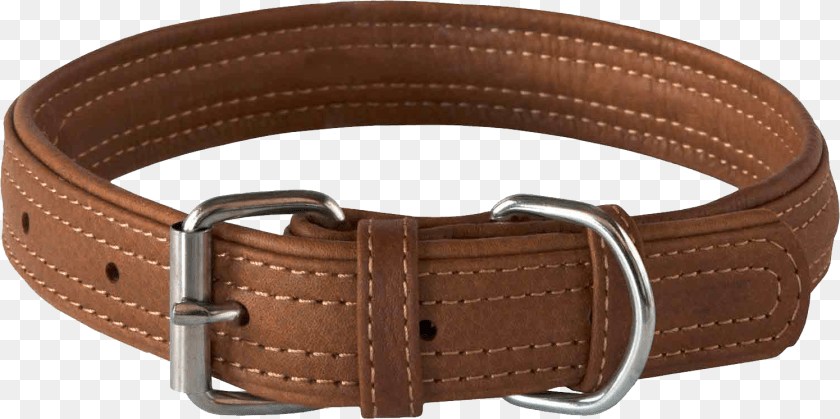Dog Collar, Accessories, Belt, Buckle PNG