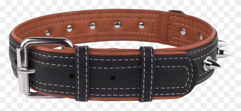 1146x482 Dog Collar, Belt, Accessories, Accessory HD PNG Download