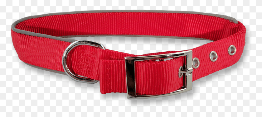 1445x586 Dog Collar Buckle, Belt, Accessories, Accessory HD PNG Download