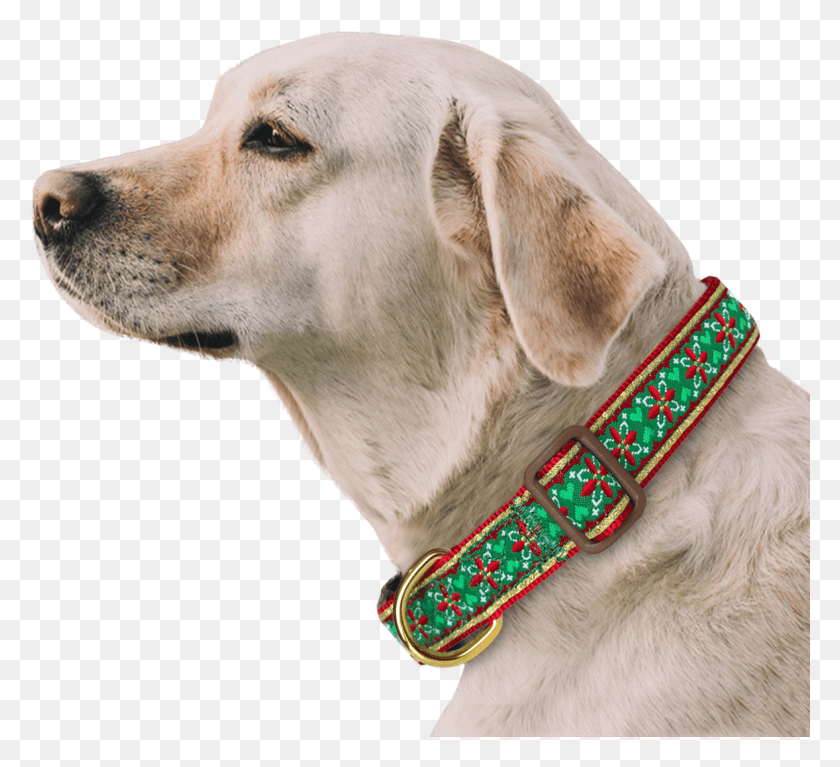 1178x1068 Dog Collar Labro Dogs Name, Dog, Pet, Canine HD PNG Download