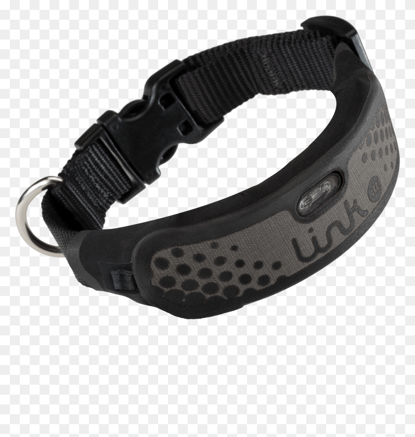 2926x3100 Dog Collar Technical HD PNG Download