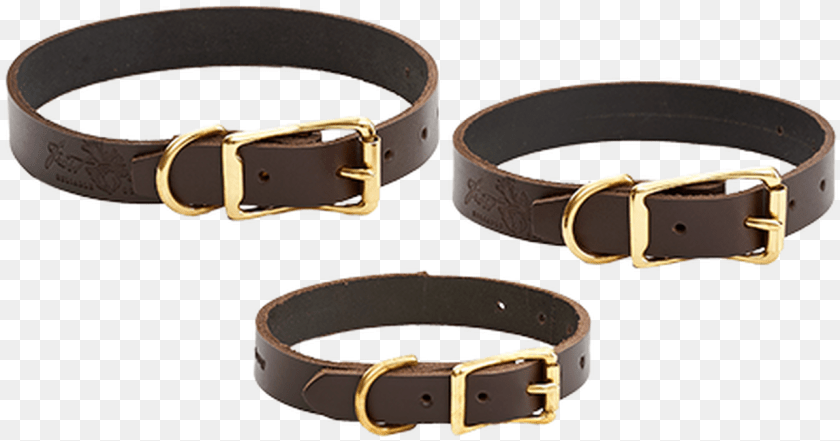 Dog Collars Buckle, Accessories, Belt Sticker PNG