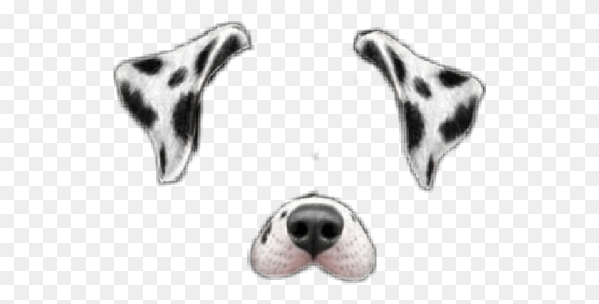 524x366 Dog Dalmatian Puppy Filter Snapchat Filters Snapchat Dog Filter Dalmatian, Snout, Soccer Ball, Ball HD PNG Download