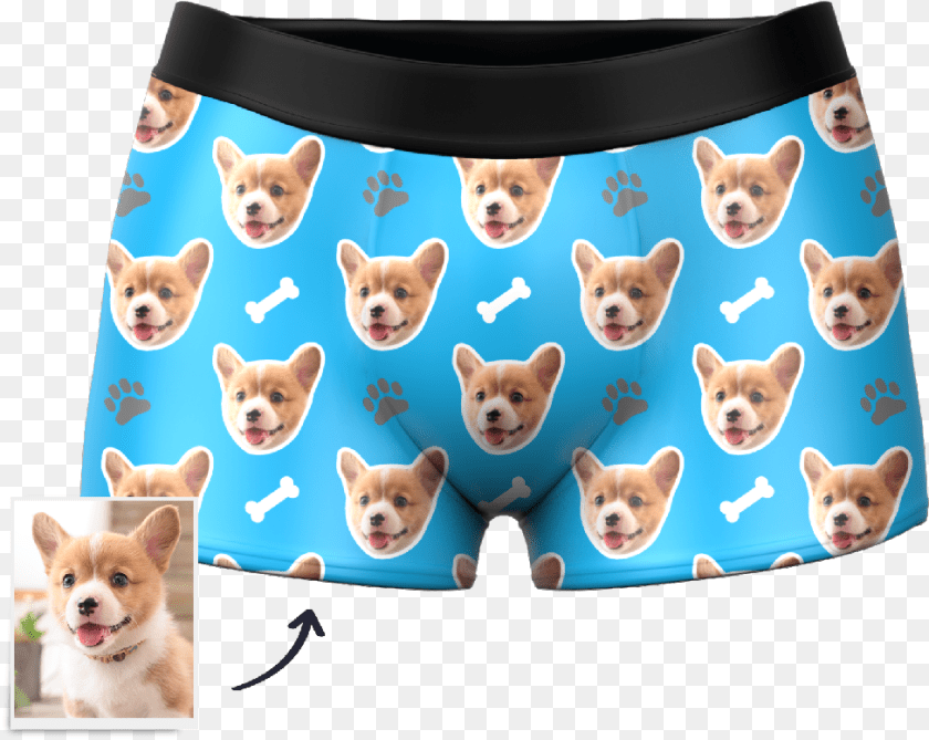 Dog Face Boxers Underwear, Clothing, Pet, Mammal, Animal PNG