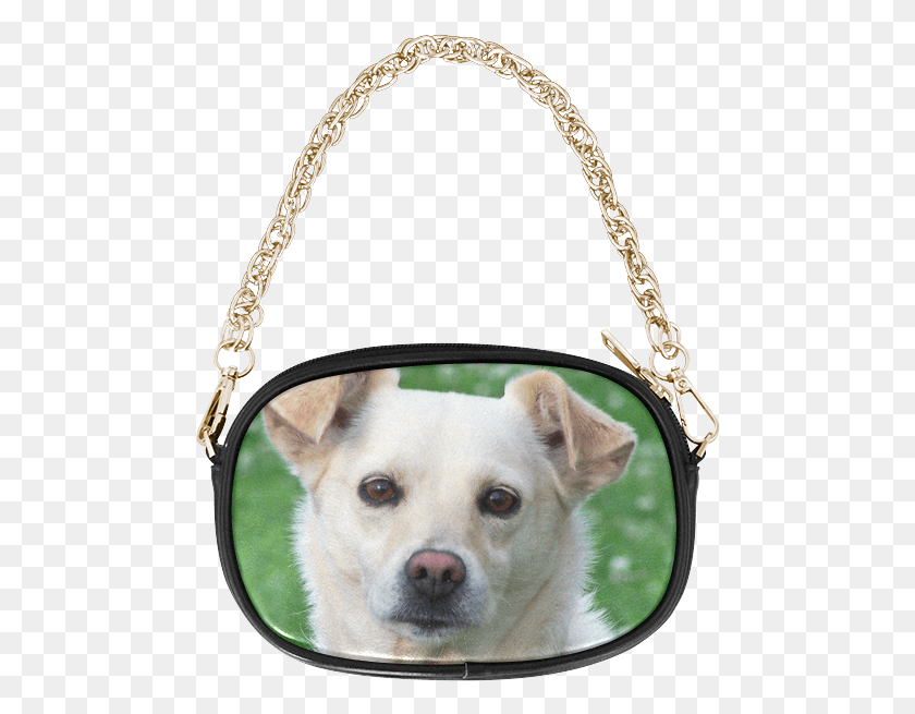 482x595 Dog Face Close Up Chain Purse Gold Star Black Purse, Accessories, Accessory, Handbag HD PNG Download