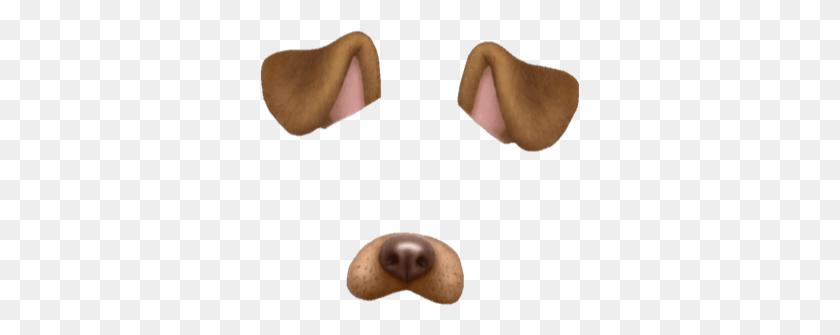 320x275 Dog Filter Animal Freetoedit Snapchat Dog Filter, Person, Human, Clothing HD PNG Download
