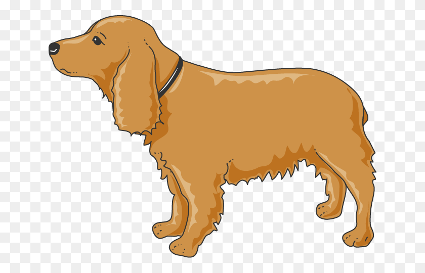 648x480 Dog Golden Retriever, Pet, Animal, Canine HD PNG Download