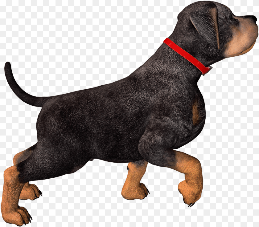 1189x1043 Dog High Resolution, Animal, Canine, Mammal, Pet Clipart PNG