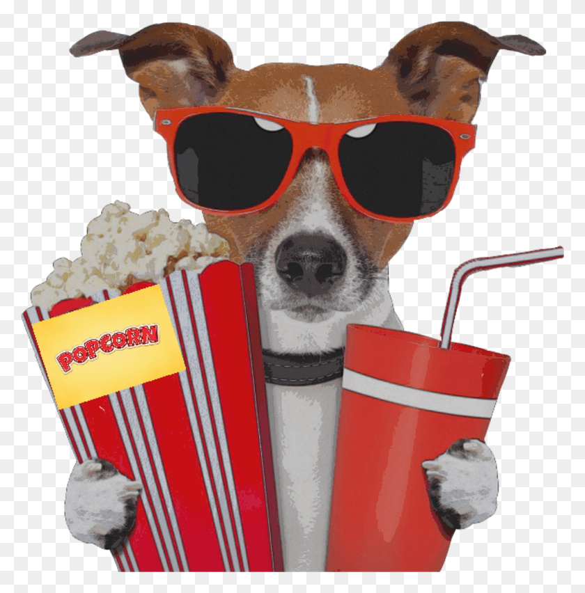 1024x1041 Descargar Png Perro Película Sunglass Popcorn Movietheater Movietime Red Chien A Lunette Humor, Gafas De Sol, Accesorios Hd Png