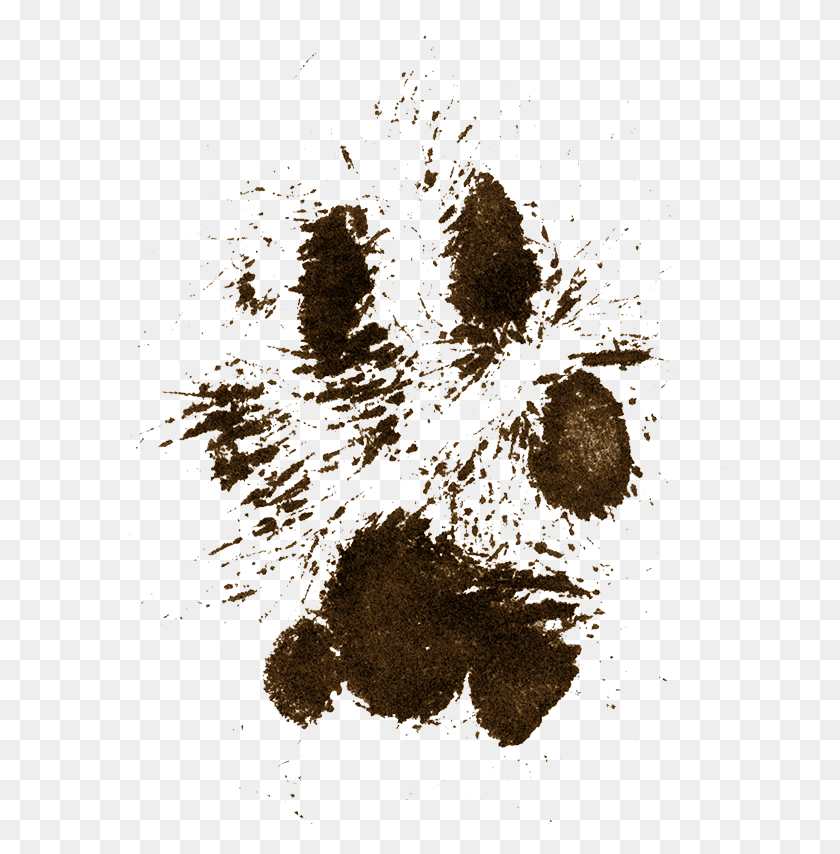 646x794 Dog Mud Pawprint Putting A Dog Down Quote, Outdoors, Nature, Astronomy Descargar Hd Png