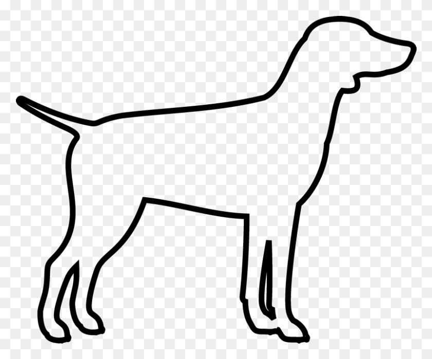 801x657 Dog Outline Hunting Dog, Bow, Animal, Mammal HD PNG Download
