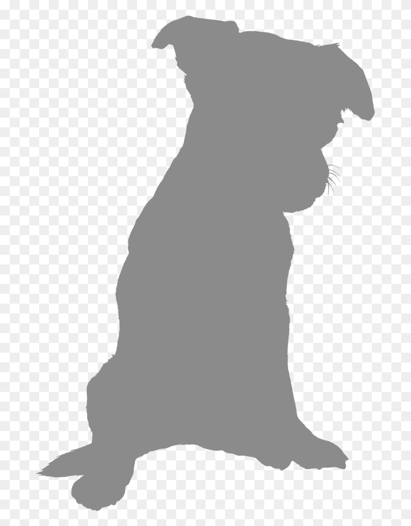 695x1014 Dog Outline Silhouette, Person, Human HD PNG Download