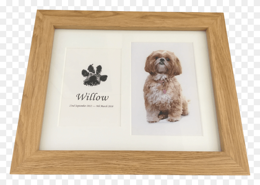 1900x1312 Dog Paw Print In Wood Frame With Photograph Using Inkless Dog Keepsakes, Pet, Canine, Animal HD PNG Download