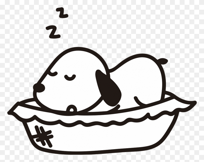922x720 Dog Pet Puppy Sleep Sleeping Cute Adorable, Clothing, Apparel, Sunglasses HD PNG Download