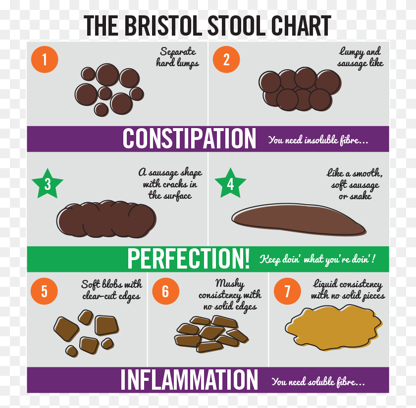 737x765 Dog Poop Normal Cake Bristol Stool Chart, Text, Label, Advertisement HD PNG Download