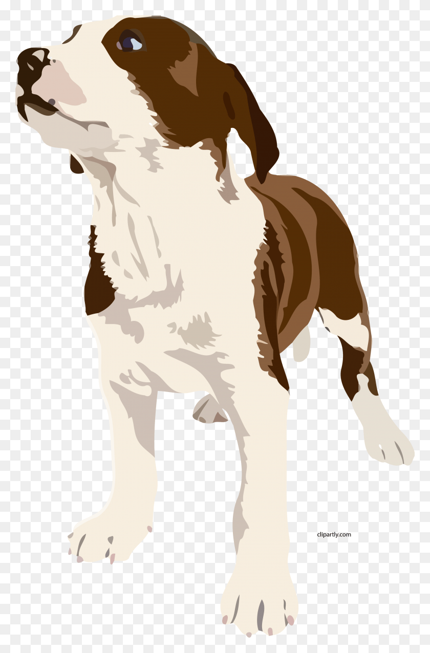 3133x4886 Dog Realistic Clipart Brown White Dog Clip Art, Hound, Pet, Canine HD PNG Download