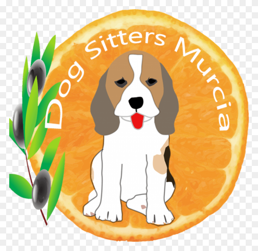 800x777 Dog Sitters Murcia Dog Sitting Nombres Para Perritas, Sweets, Food, Confectionery HD PNG Download