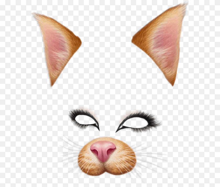 Dog Snapchat Filter, Flower, Petal, Plant, Snout Transparent PNG