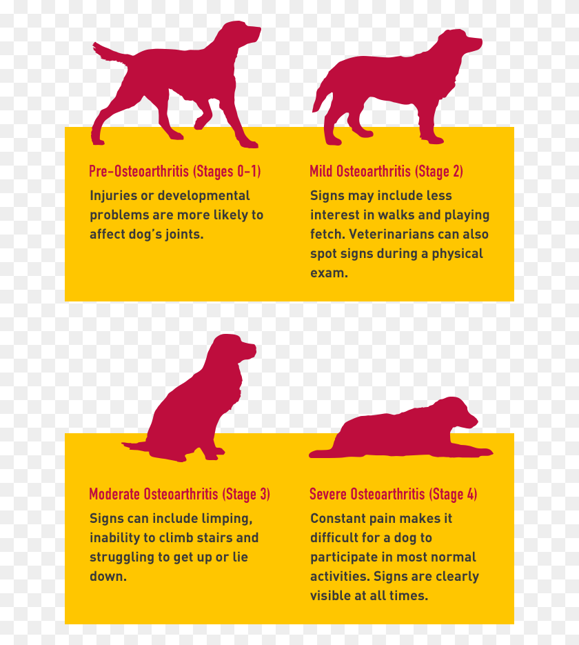 652x875 Dog Stage Mobile Stages Of Osteoarthritis In Dogs, Poster, Advertisement, Flyer HD PNG Download
