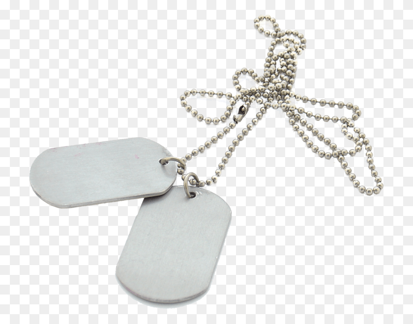 721x600 Dog Tags, Jewelry, Accessories, Accessory HD PNG Download