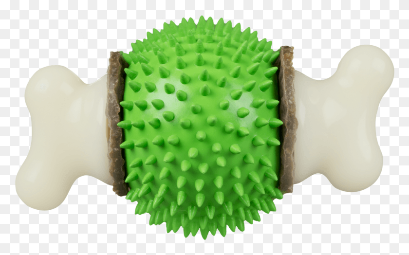 989x589 Dog Toy, Plant, Seed, Grain HD PNG Download