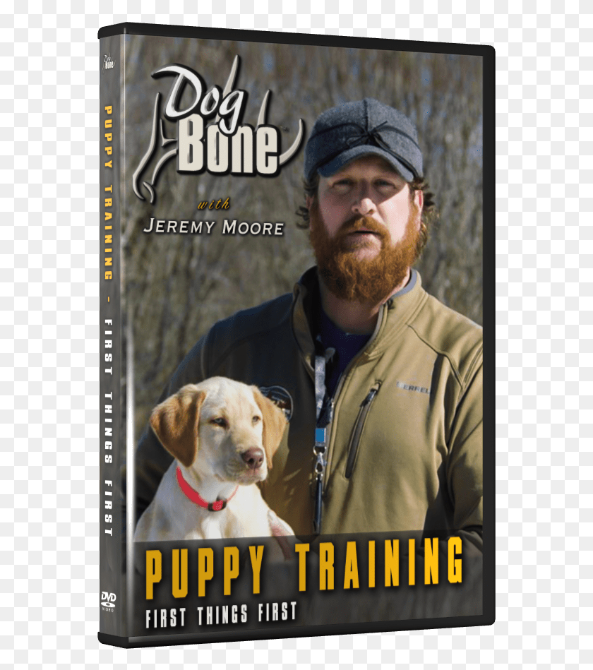565x889 Dogbone Puppy Training, Person, Human, Canine HD PNG Download