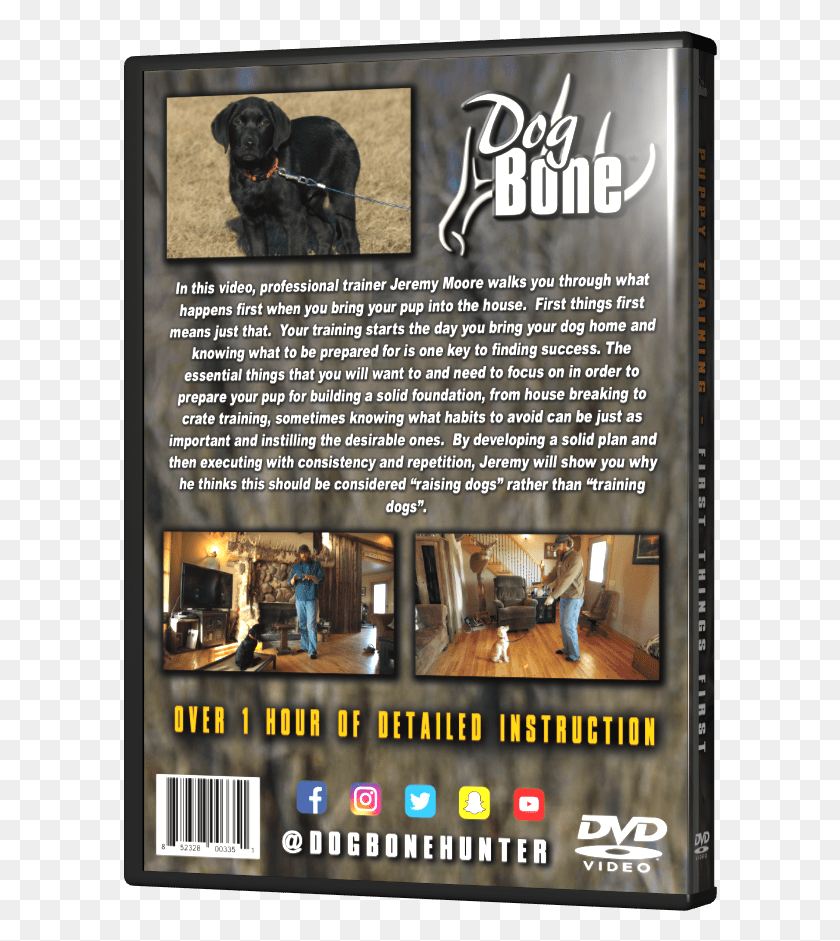 594x881 Dogbone Puppy Training Flyer, Poster, Advertisement, Person Descargar Hd Png