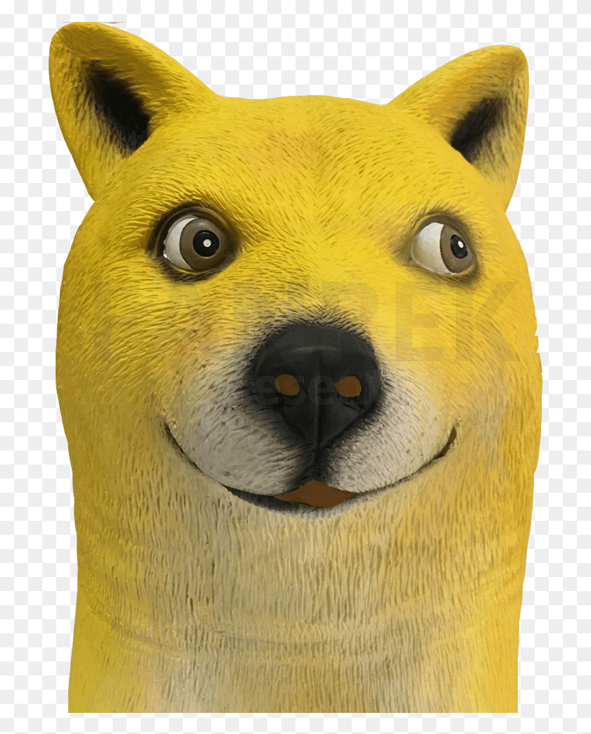 704x983 Doge, Snout, Animal, Mammal HD PNG Download