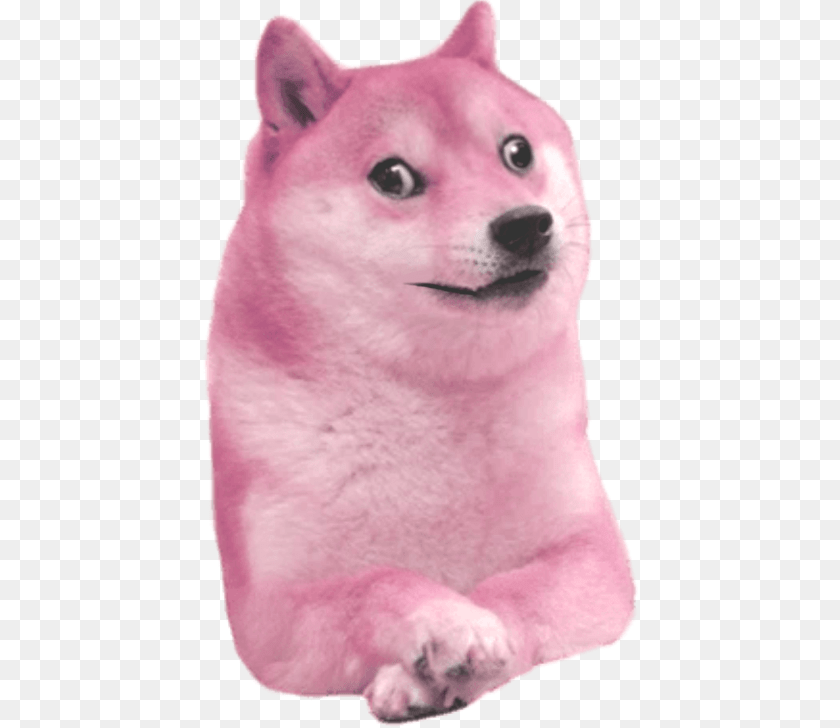 Doge, Animal, Canine, Dog, Husky Sticker PNG