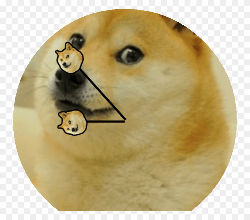 752x680 Doge Transparent Doge Memes Wholesome, Mammal, Animal, Canine HD PNG Download