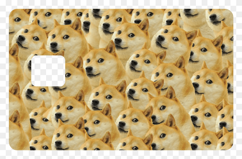1349x850 Doge Wallpaper, Dog, Pet, Canine HD PNG Download