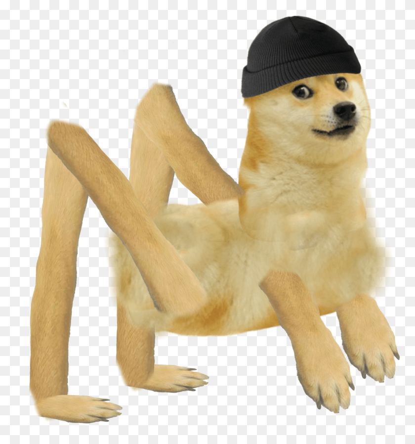 1465x1574 Doge.png, Clothing, Apparel, Cap HD PNG Download