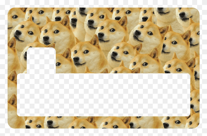 1349x850 Doge.png, Canine, Mammal, Animal HD PNG Download