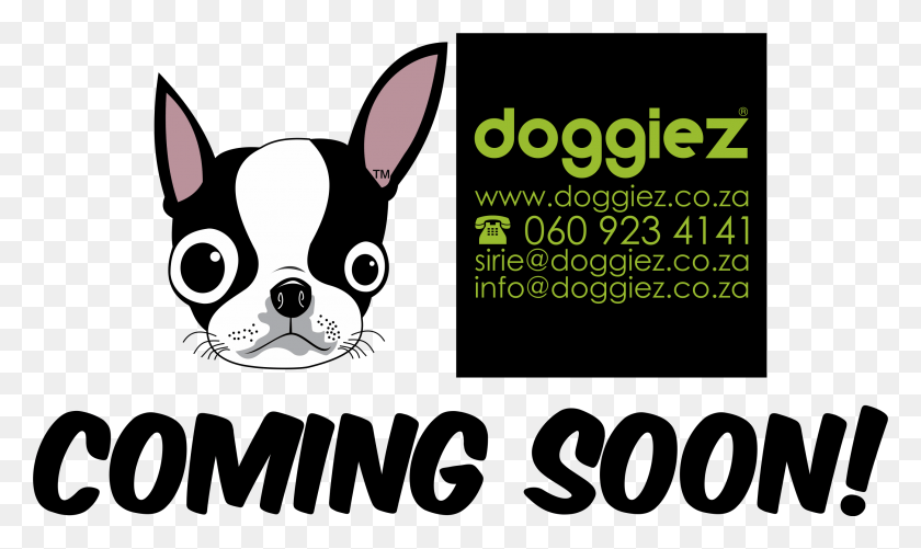 2589x1466 Doggiez Website Coming Soon Boston Terrier, Mammal, Animal, Text HD PNG Download