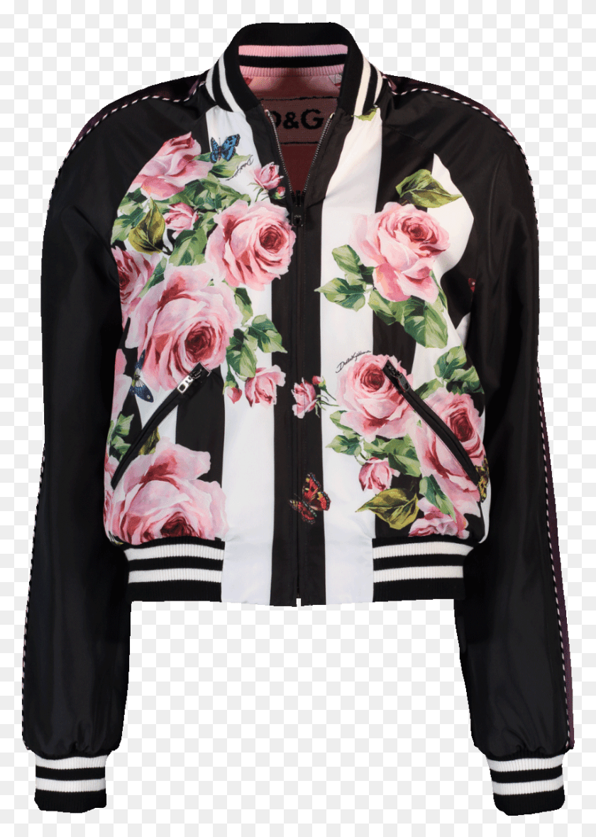 851x1221 Dolce Gabbana Bomber Jacket Women, Clothing, Apparel, Scarf HD PNG Download