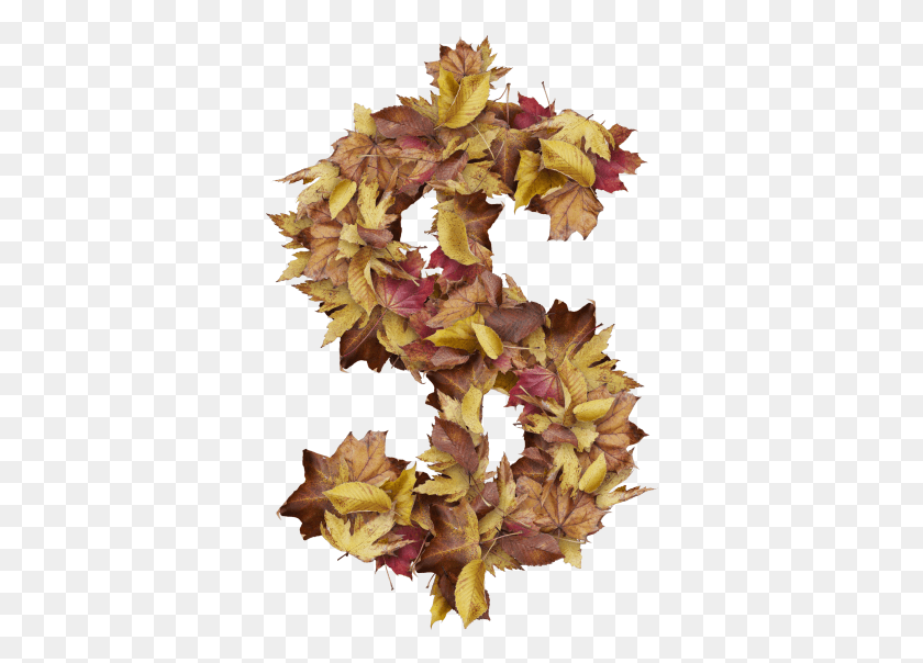 358x544 Символ Доллара С Сухими Листьями Осень, Лист, Растение, Дерево Hd Png Скачать