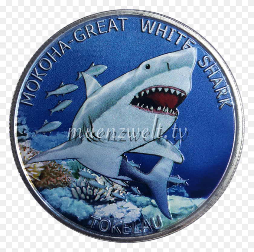 1000x991 Dollar Tokelau Great White Shark, Animal, Sea Life, Symbol HD PNG Download