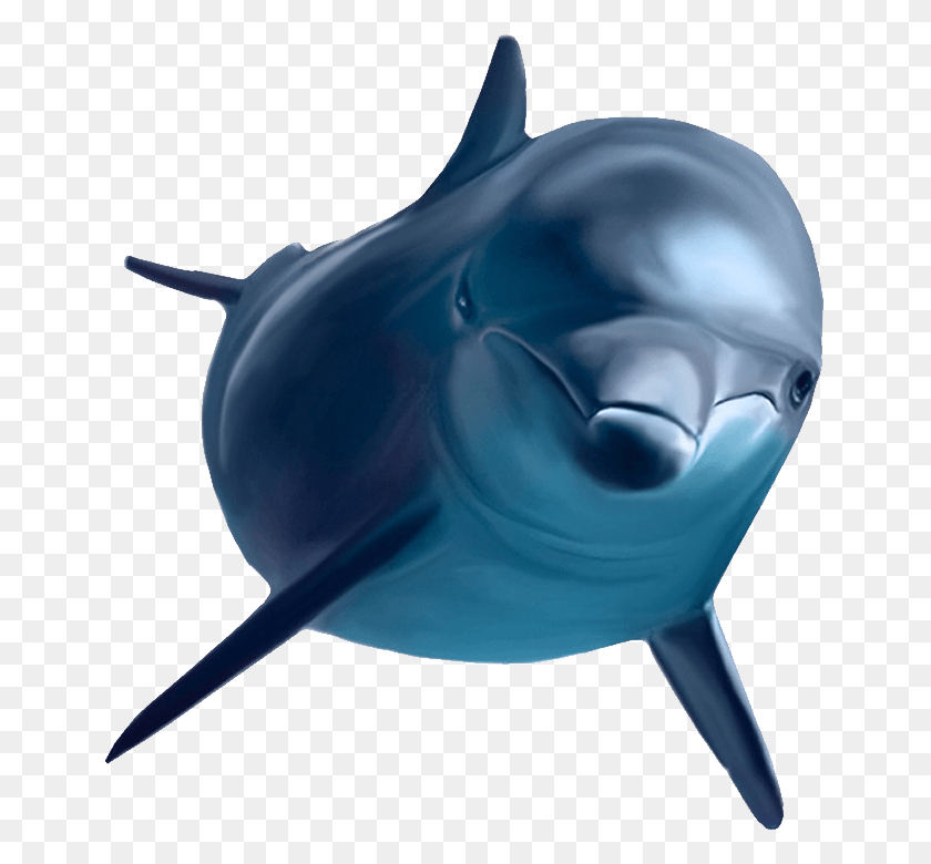 649x720 Дельфин, Морская Жизнь, Животное, Млекопитающее Hd Png Скачать