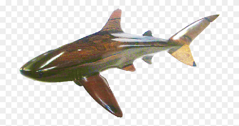 706x384 Dolphin, Fish, Animal, Shark HD PNG Download