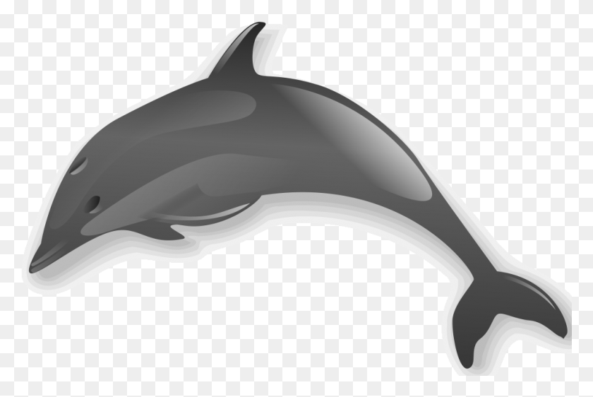 985x634 Descargar Png Dolphin 2 Dolphin Clip Art Transparente, Animal, Vida Marina, Mamífero Hd Png