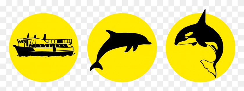 1301x426 Dolphin Amp Whale Watching Tauranga Circle, Symbol, Logo, Trademark HD PNG Download