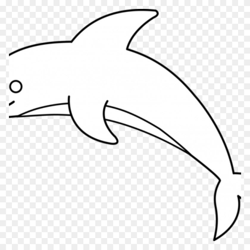 1024x1024 Дельфин Черно-Белый Клипарт Hatenylo, Морская Жизнь, Животное, Млекопитающее Hd Png Скачать