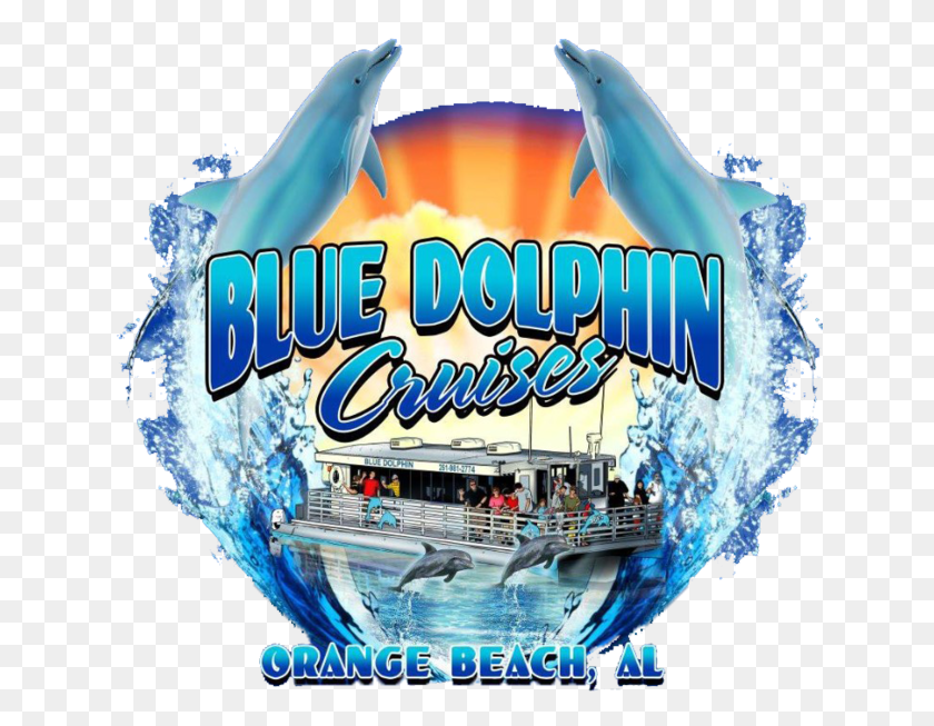 640x593 Dolphin Cruise Gulf Shores Al Poster, Person, Human, Sea Life HD PNG Download