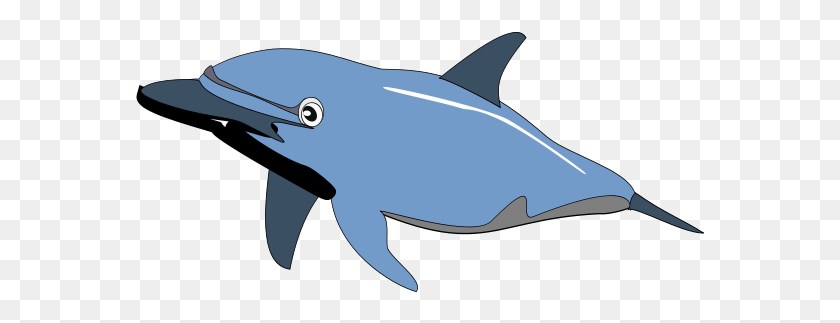 569x263 Дельфин Энрике Меза C 01 Дельфин Картинки, Морская Жизнь, Животное, Млекопитающее Hd Png Скачать