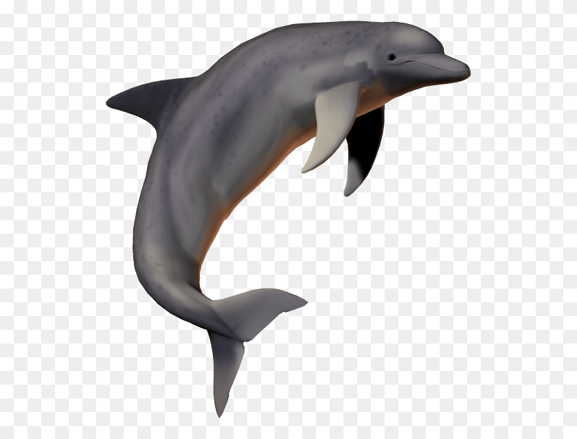532x579 Dolphin Free Transparent Background Images Free Fish For Picsart, Mammal, Sea Life, Animal HD PNG Download