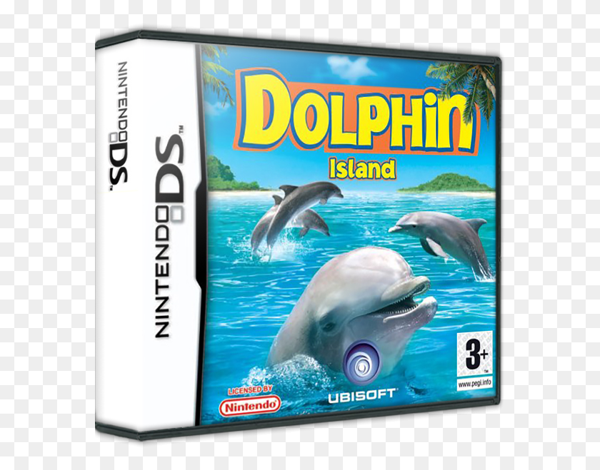 576x599 Dolphin Island Magic School Bus, Sea Life, Animal, Mamífero Hd Png