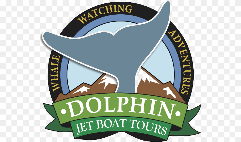 564x496 Dolphin Jet Boat Tours Flame Lily Adventures, Logo, Sea Life, Animal, Mammal PNG