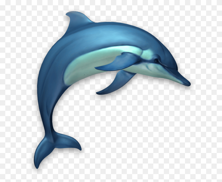 630x630 Dolphins 3d On The Mac App Store Dolphin 3d, Mammal, Sea Life, Animal HD PNG Download